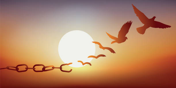Image d'une chaîne qui se transforme au fur et à mesure en oiseaux, représentant ainsi les libérations et transformations psychocorporelles.